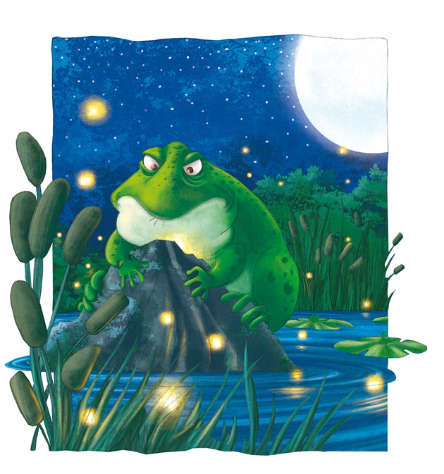 el_sapo_y_la_luciernaga_1_4858